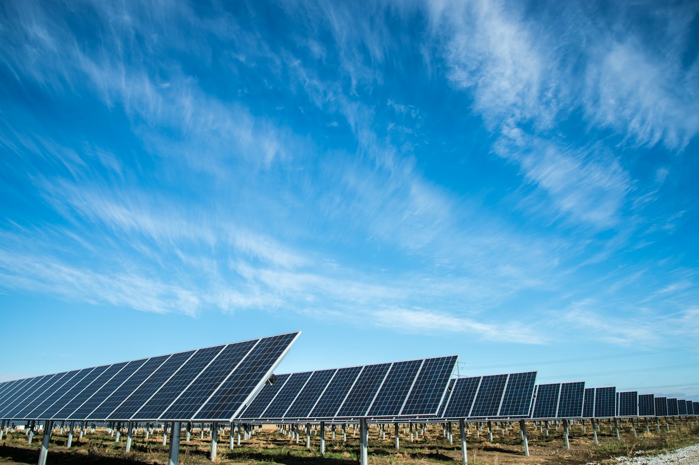 Rows of dark blue solar panels stretch across a dry field.